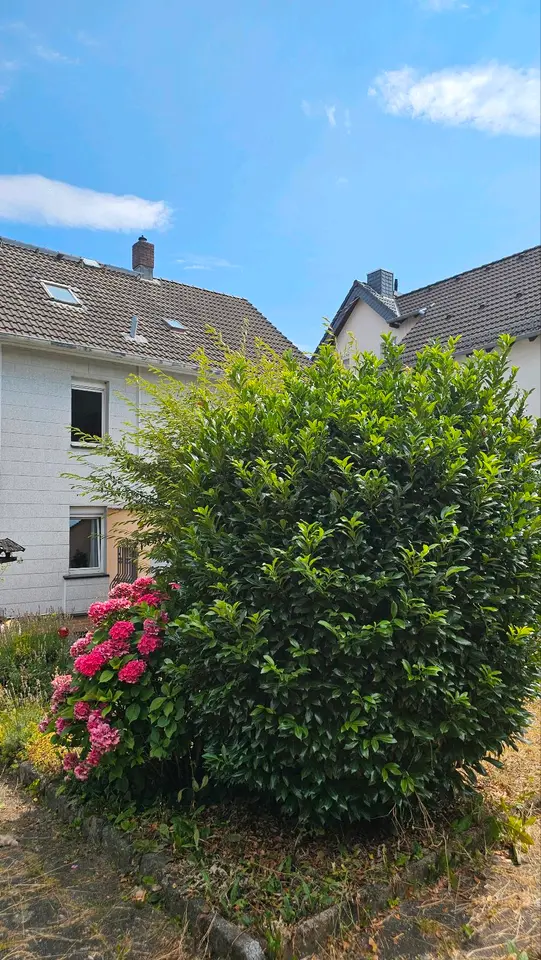 6 Zimmer Wohnung mit 133 m² in Oberursel – Bild 6