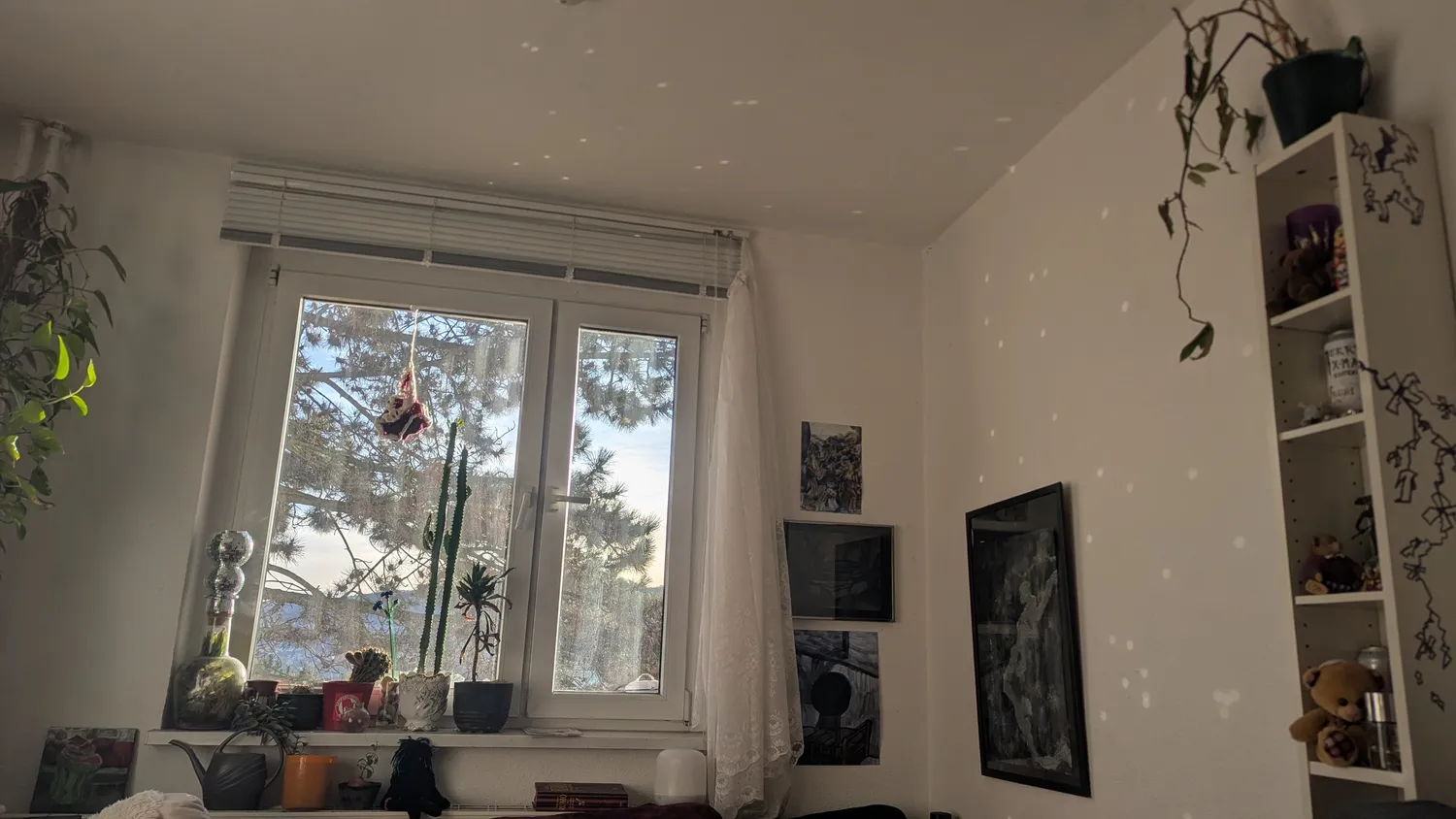 1 Zimmer Wohnung mit 12 m² in Jena – Bild 1