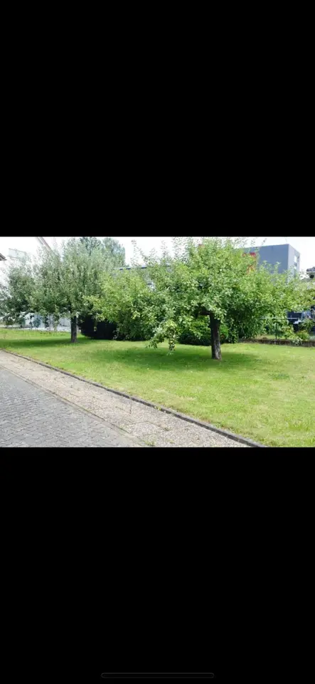 5 Zimmer Wohnung mit 150 m² in Michelstadt – Bild 7
