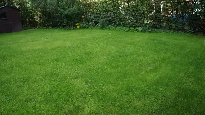 9 Zimmer Haus mit 280 m² in Berlin – Bild 6