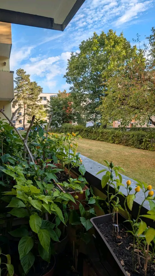 WG-Zimmer mit 17 m² in Erlangen – Bild 3