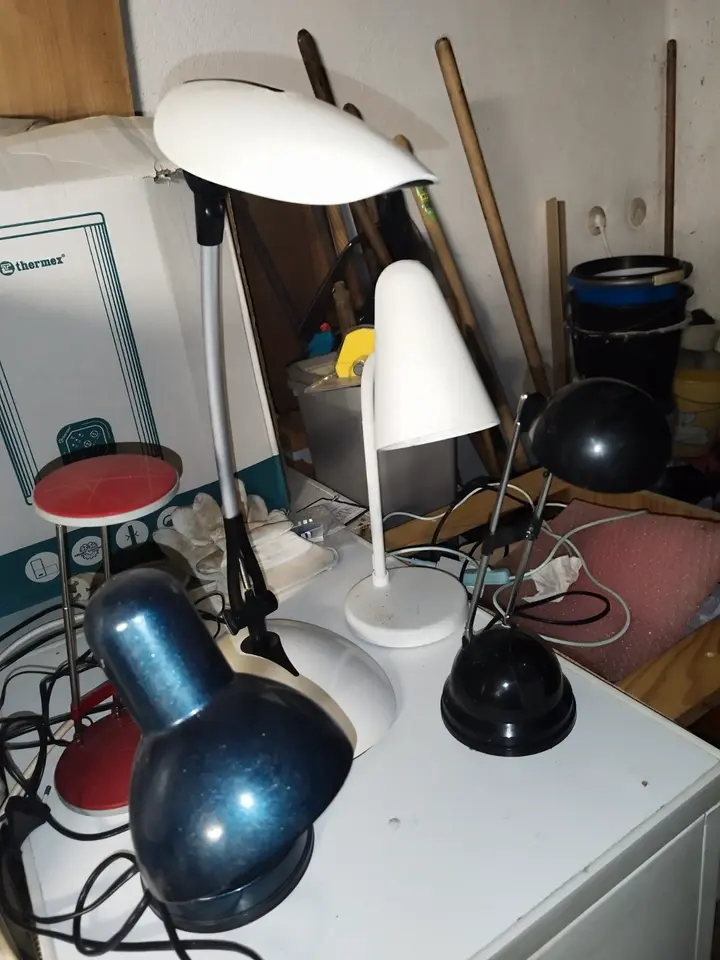 2 Zimmer Wohnung mit 12 m² in Ludwigshafen – Bild 7