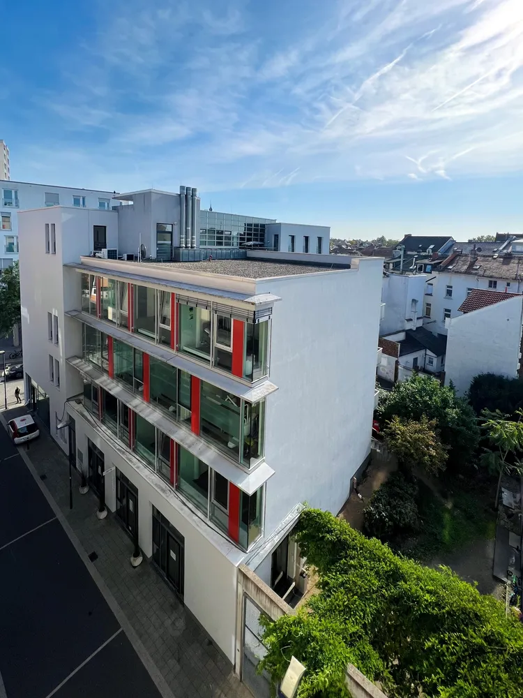 13 Zimmer Wohnung mit 425 m² in Offenbach am Main – Bild 1