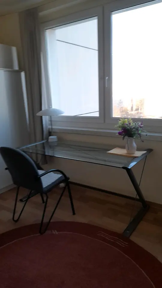 Studio mit 27 m² in Dresden – Bild 9