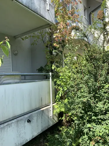 1 Zimmer Wohnung mit 26 m² in Stuttgart – Bild 1