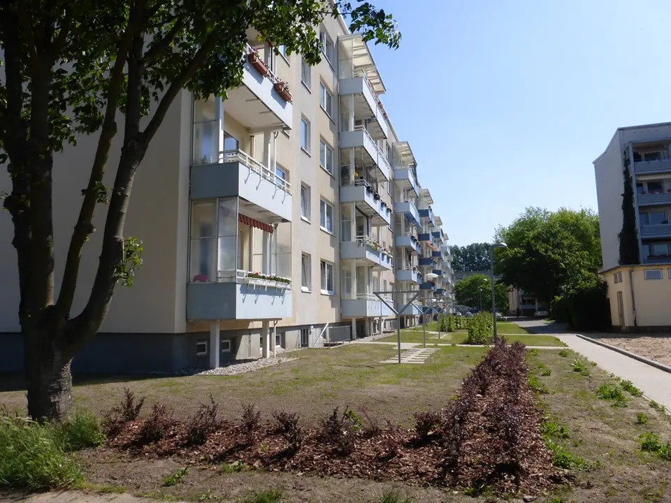 Studio mit 25 m² in Neubrandenburg – Bild 1
