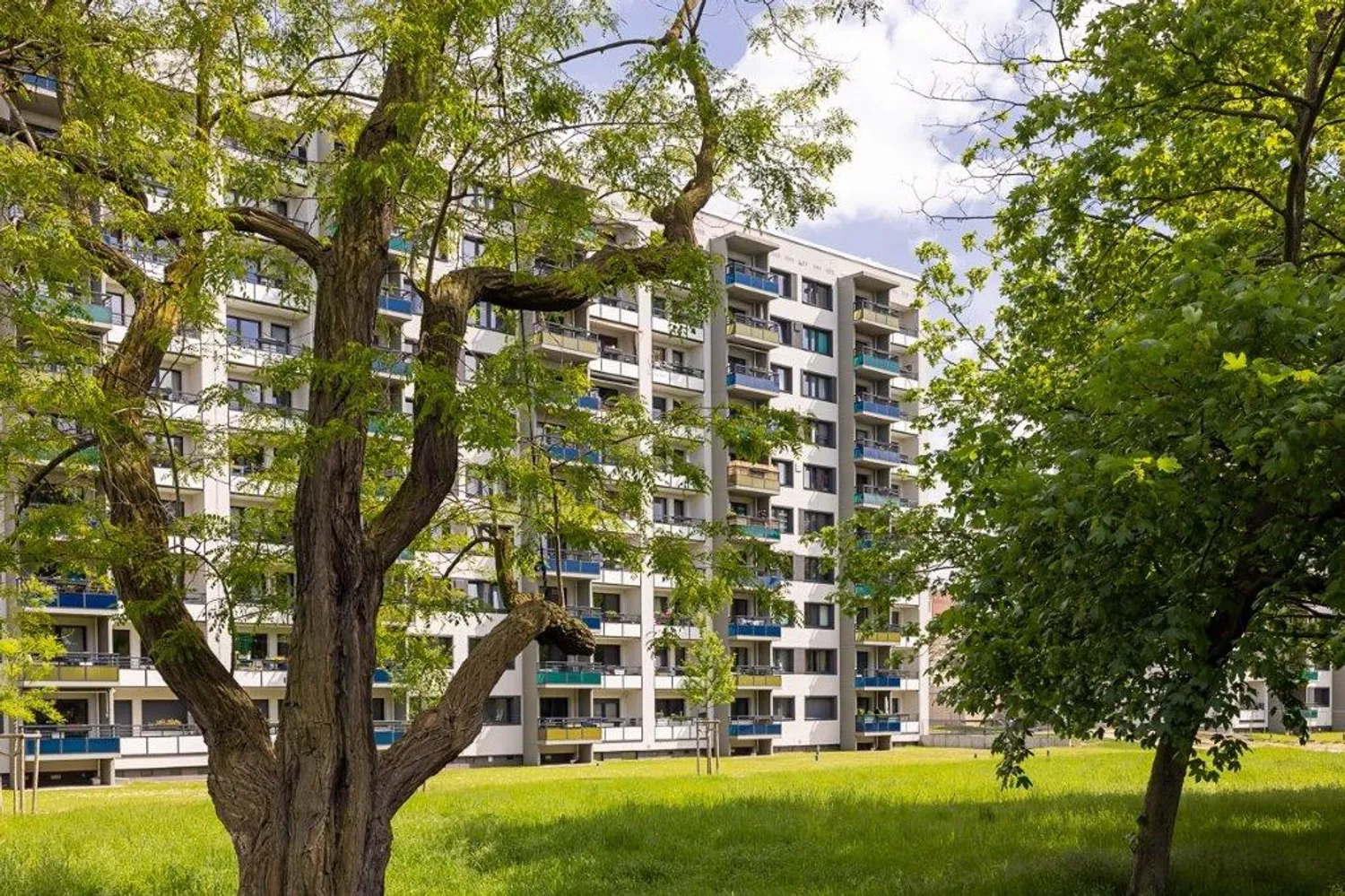 2 Zimmer Wohnung mit 51 m² in Dresden – Bild 1