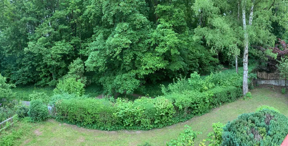 6 Zimmer Haus mit 135 m² in Göttingen – Bild 3
