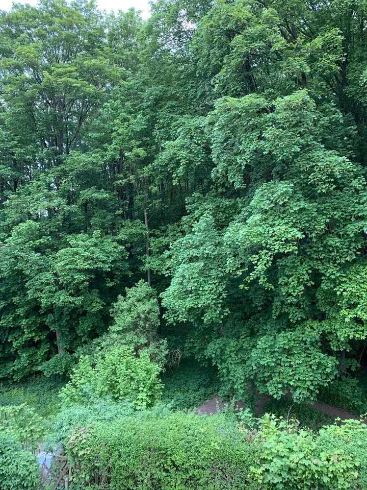 6 Zimmer Haus mit 135 m² in Göttingen – Bild 6