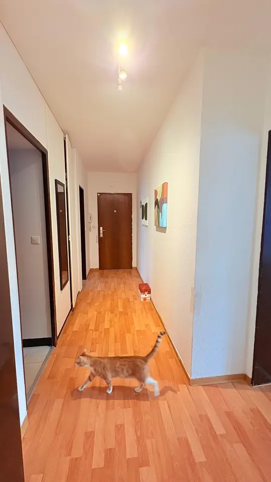 2 Zimmer Wohnung mit 59 m² in Oldenburg – Bild 7