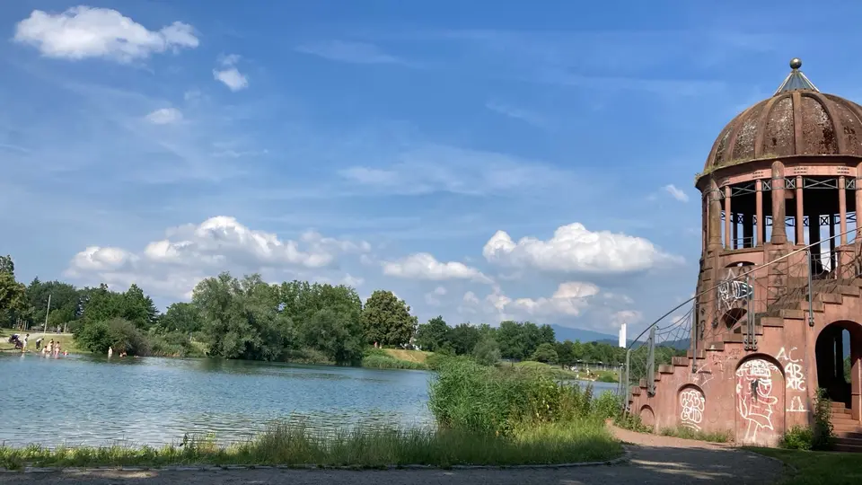 Studio mit 37 m² in Freiburg im Breisgau – Bild 6
