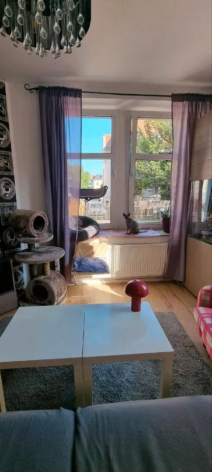 3 Zimmer Wohnung mit 67 m² in Zwickau – Bild 10