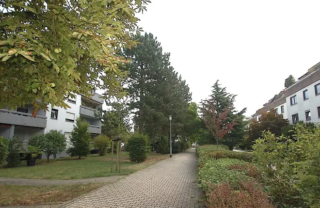 4 Zimmer Wohnung mit 96 m² in Mannheim – Bild 3
