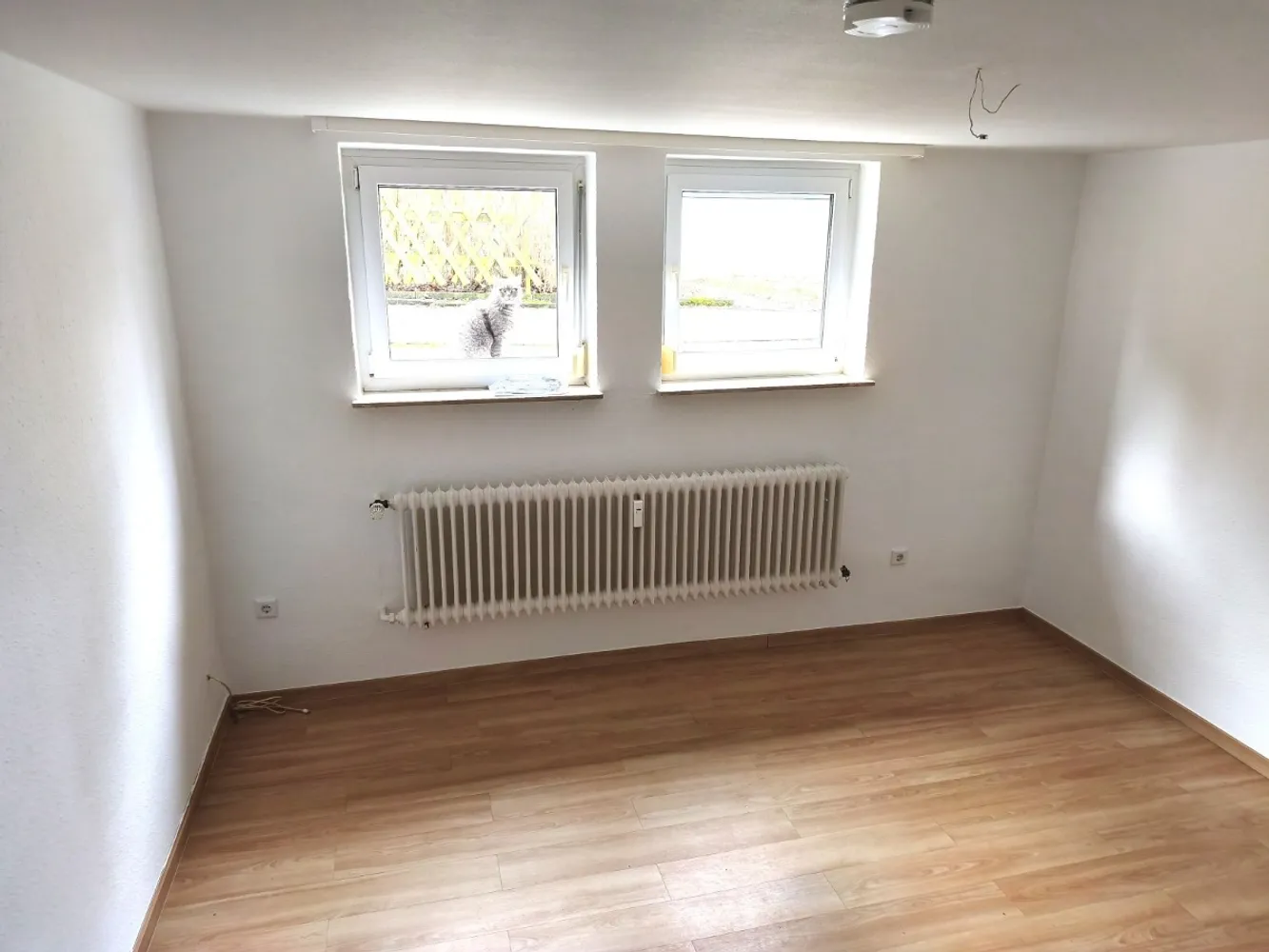 1 Zimmer Wohnung mit 20 m² in Kassel – Bild 1