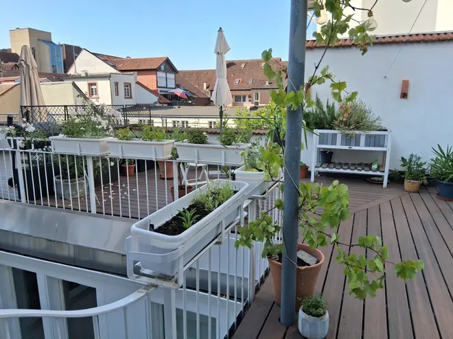 3 Zimmer Wohnung mit 95 m² in Mannheim – Bild 11