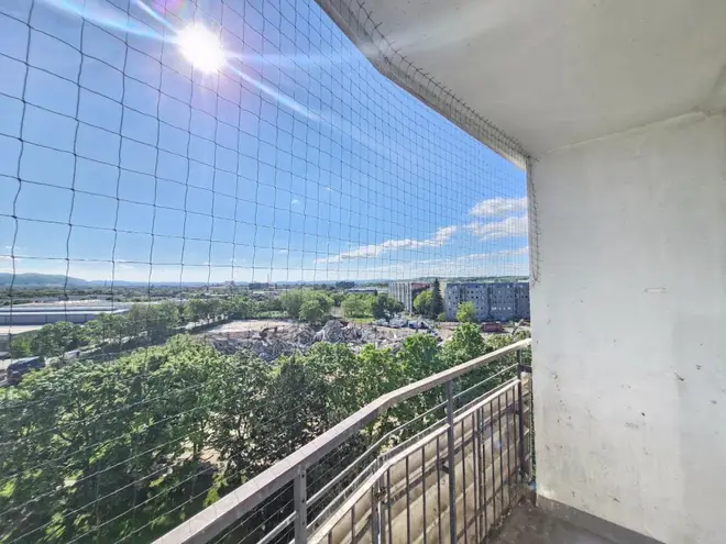 1 Zimmer Wohnung mit 26 m² in Dresden – Bild 2