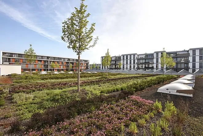 1 Zimmer Wohnung mit 50 m² in Frankfurt am Main – Bild 10