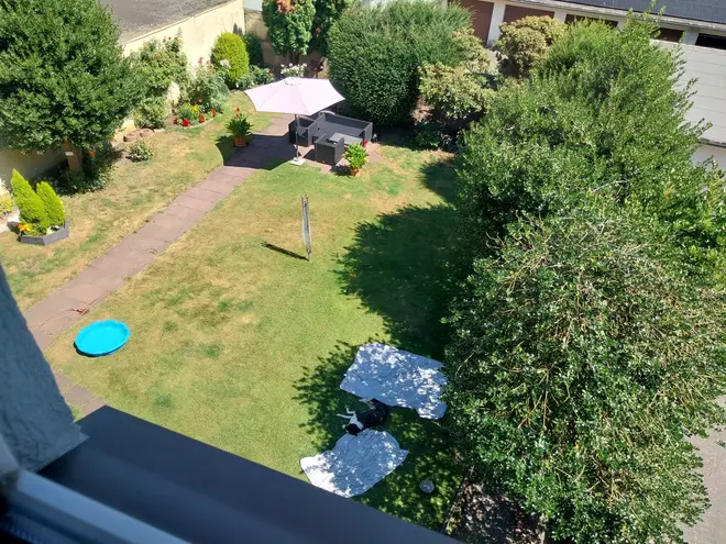 3 Zimmer Wohnung mit 52 m² in Gelsenkirchen – Bild 2