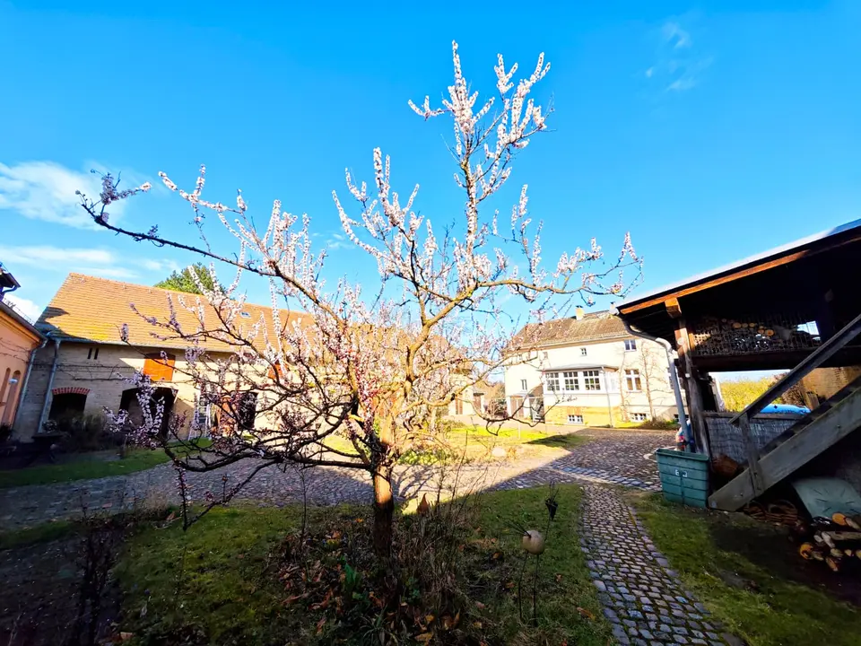 3 Zimmer Haus mit 80 m² in Potsdam – Bild 7