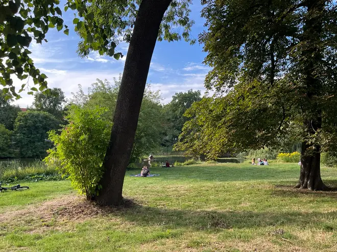 3 Zimmer Wohnung mit 106 m² in Leipzig – Bild 10