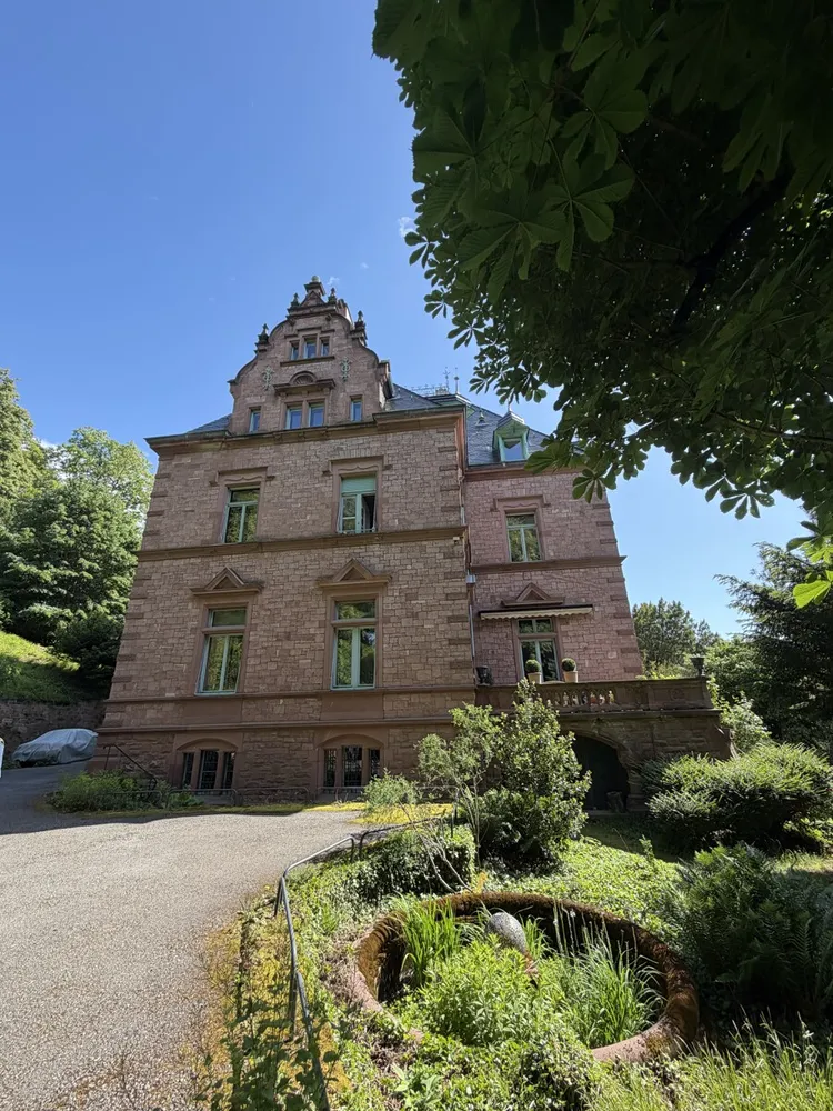 3 Zimmer Wohnung mit 170 m² in Heidelberg – Bild 2