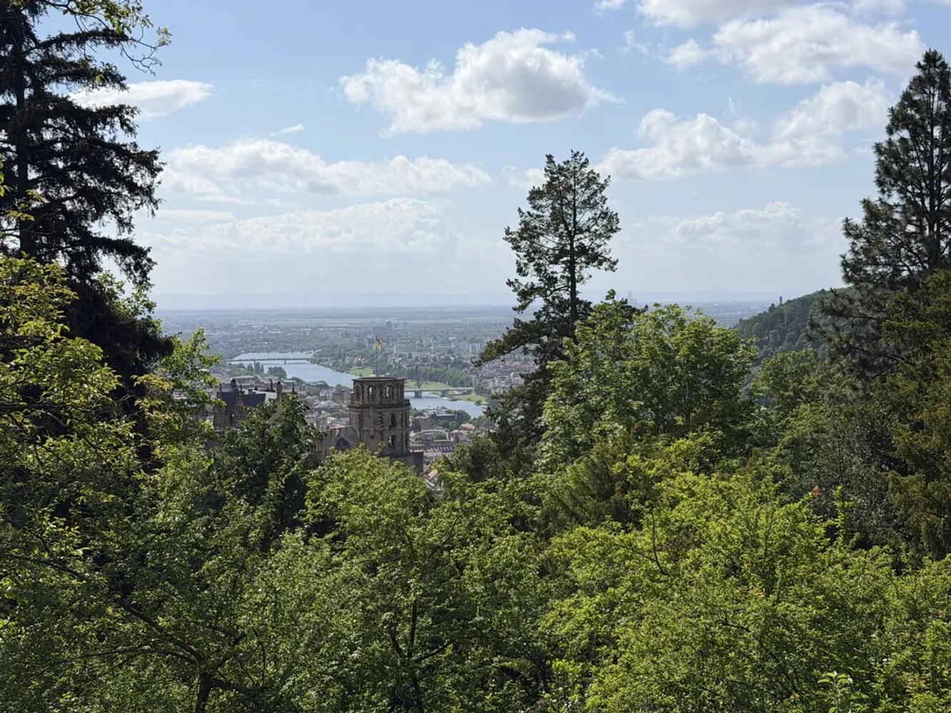3 Zimmer Wohnung mit 170 m² in Heidelberg – Bild 12