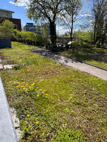 3 Zimmer Wohnung mit 55 m² in Kiel – Bild 11