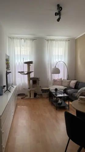 2 Zimmer Wohnung mit 52 m² in Dresden – Bild 7