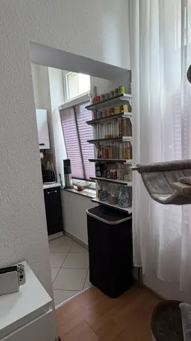2 Zimmer Wohnung mit 52 m² in Dresden – Bild 10