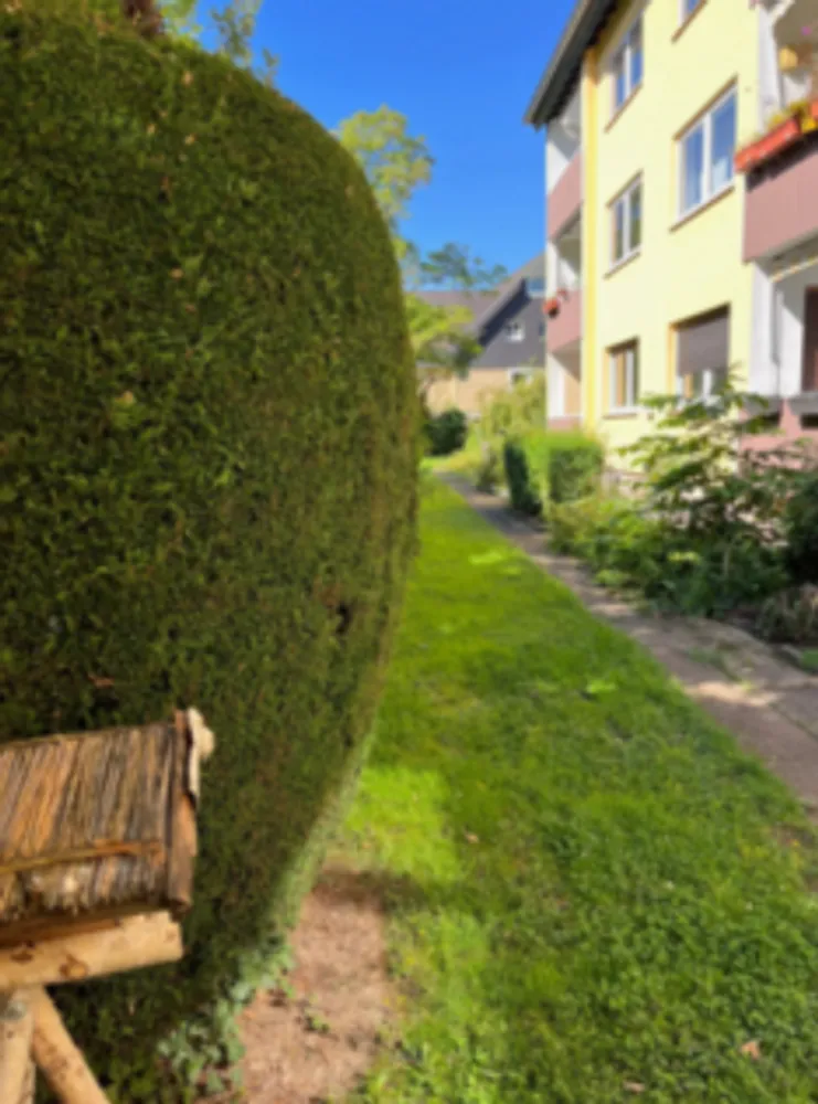 3 Zimmer Wohnung mit 64 m² in Bonn – Bild 9