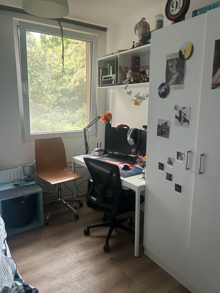WG-Zimmer mit 13 m² in Bochum – Bild 4