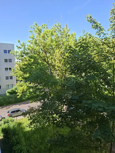 2 Zimmer Wohnung mit 50 m² in Magdeburg – Bild 1
