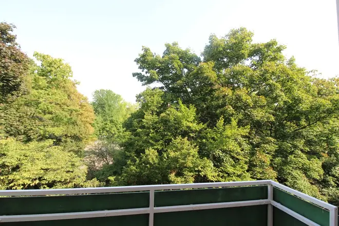 3 Zimmer Wohnung mit 95 m² in Ludwigshafen am Rhein – Bild 4