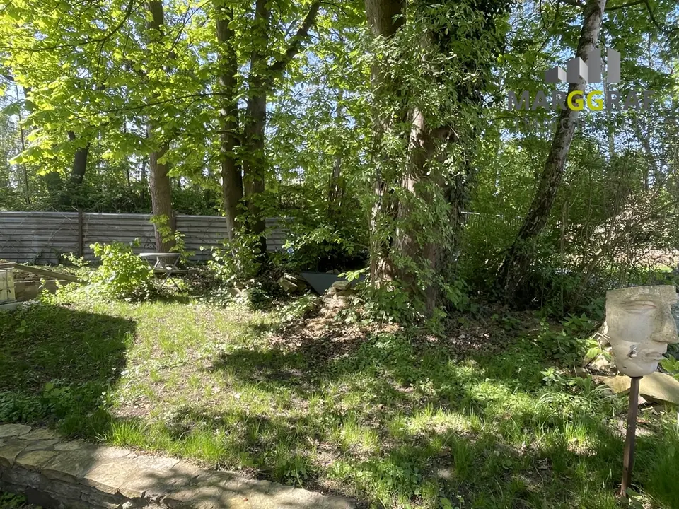 Studio mit 35 m² in Osnabrück – Bild 2