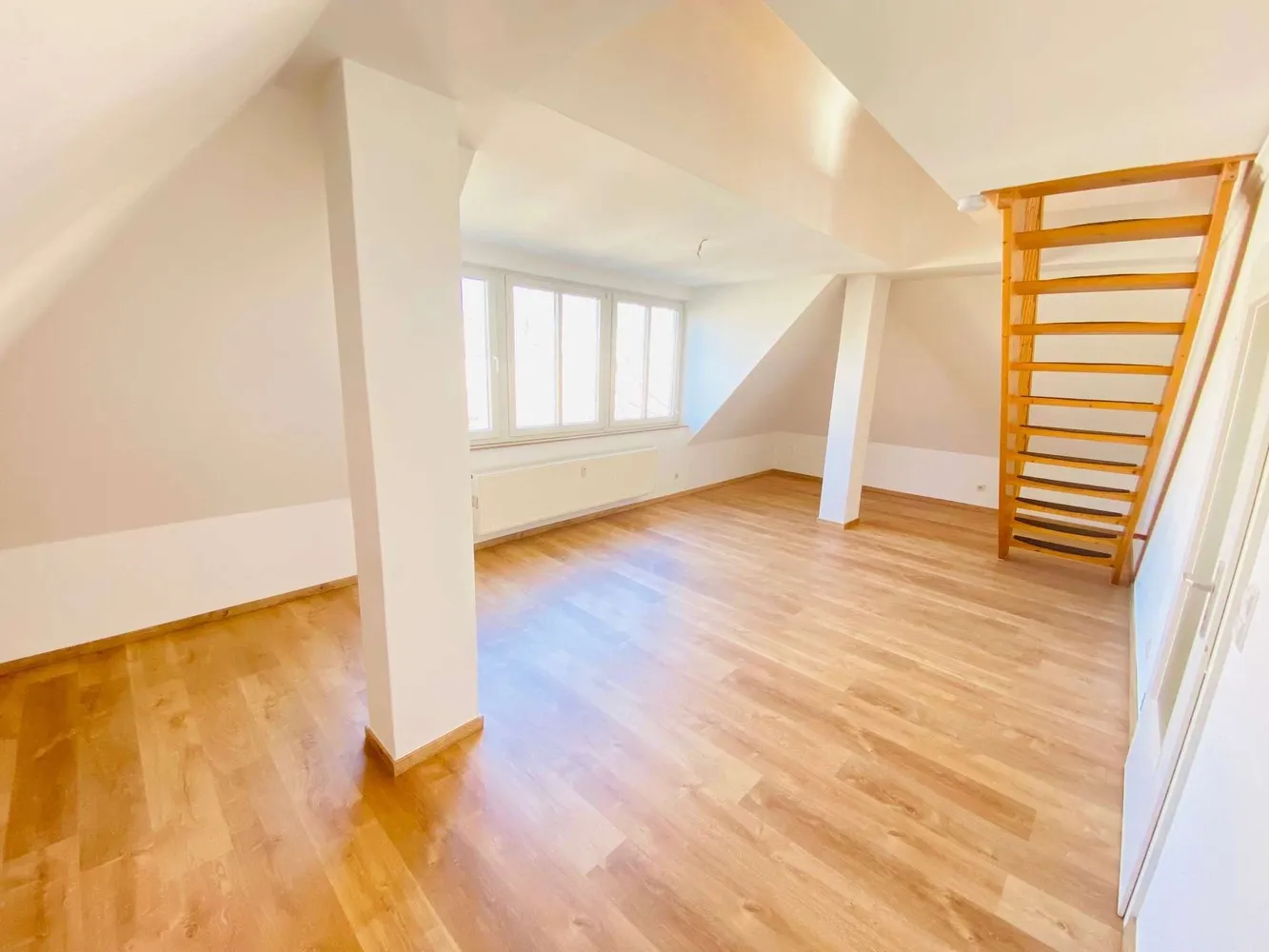 3 Zimmer Wohnung mit 65 m² in Dresden – Bild 1