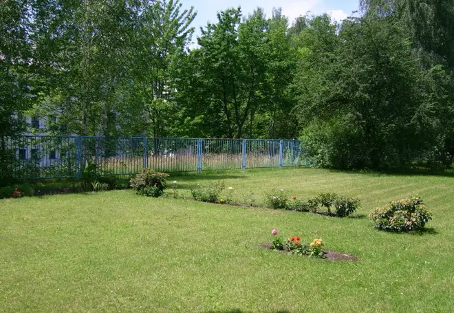 3 Zimmer Wohnung mit 65 m² in Chemnitz – Bild 4