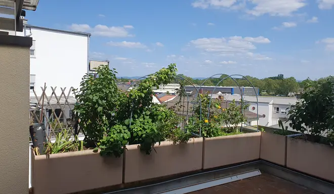 4 Zimmer Wohnung mit 120 m² in Ludwigshafen am Rhein – Bild 11