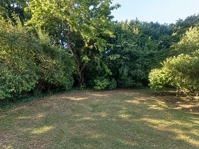 4 Zimmer Wohnung mit 133 m² in Frankfurt am Main – Bild 3