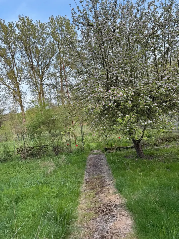 WG-Zimmer mit 85 m² in Saarbrücken – Bild 4