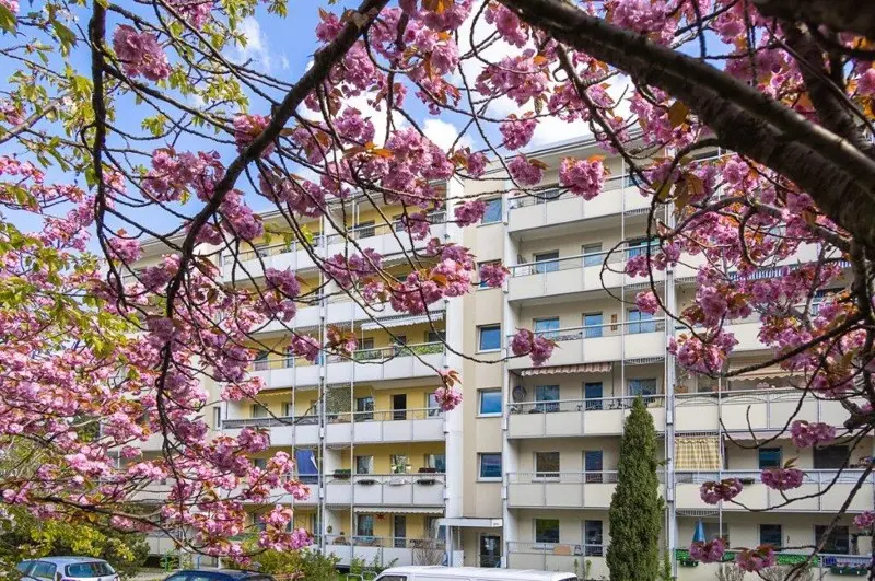 3 Zimmer Wohnung mit 57 m² in Dresden – Bild 9