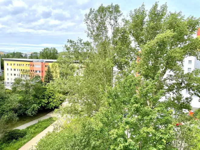 1 Zimmer Wohnung mit 36 m² in Chemnitz – Bild 8