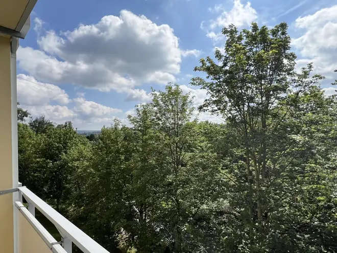 3 Zimmer Wohnung mit 56 m² in Chemnitz – Bild 5
