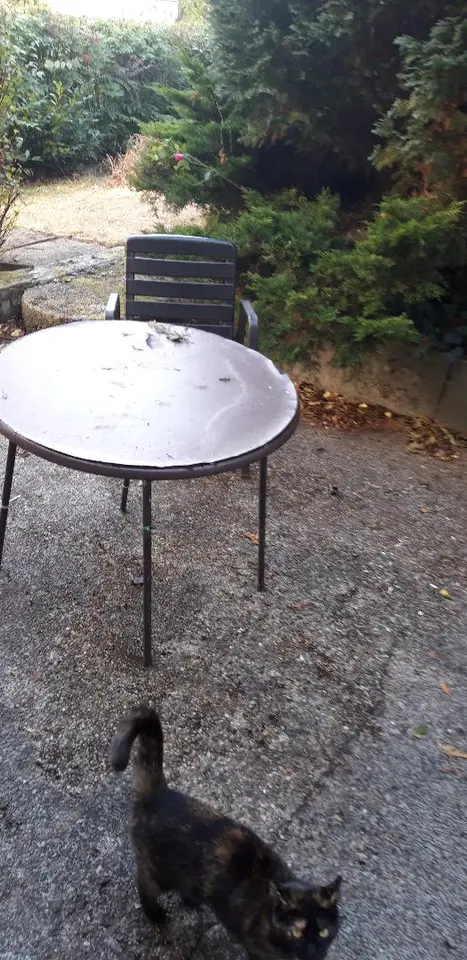 WG-Zimmer mit 25 m² in Saarbrücken – Bild 8