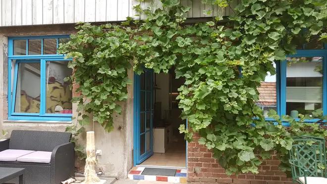 2 Zimmer Wohnung mit 43 m² in Bonn – Bild 3