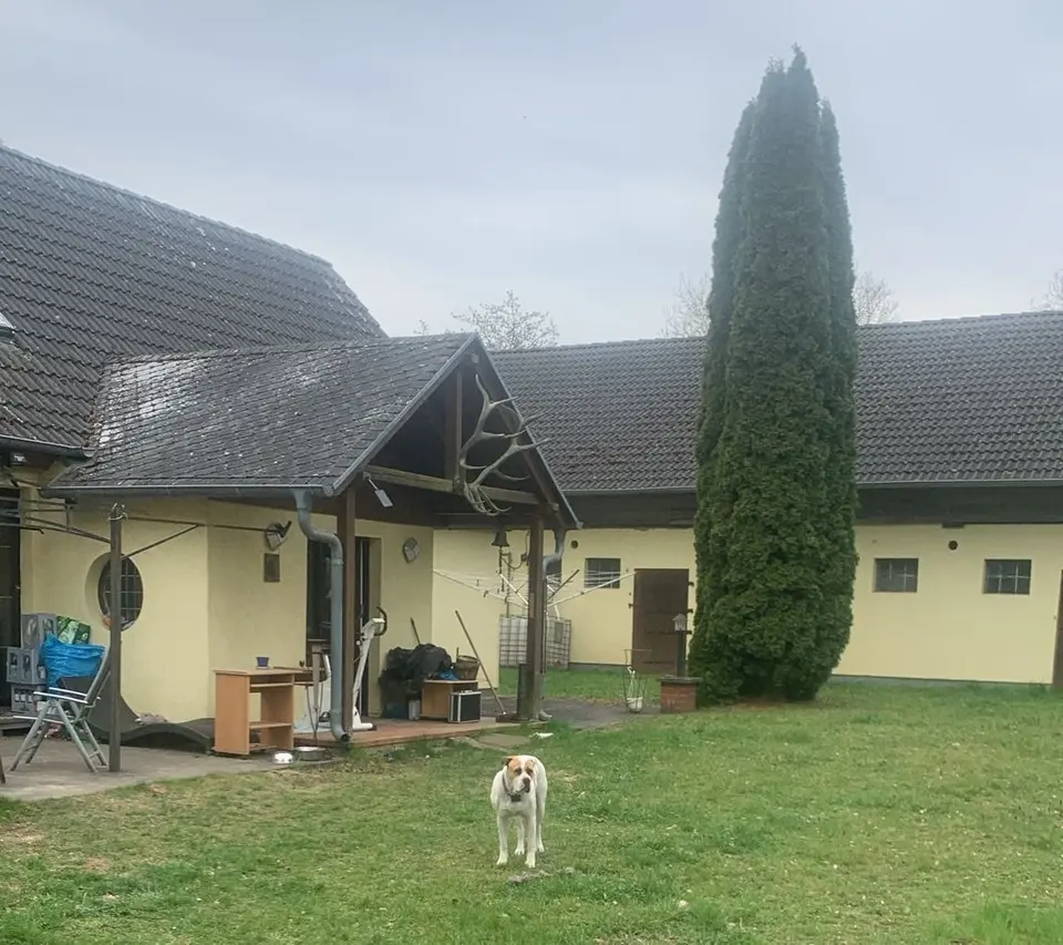 5 Zimmer Haus mit 120 m² in Frankfurt (Oder) – Bild 4