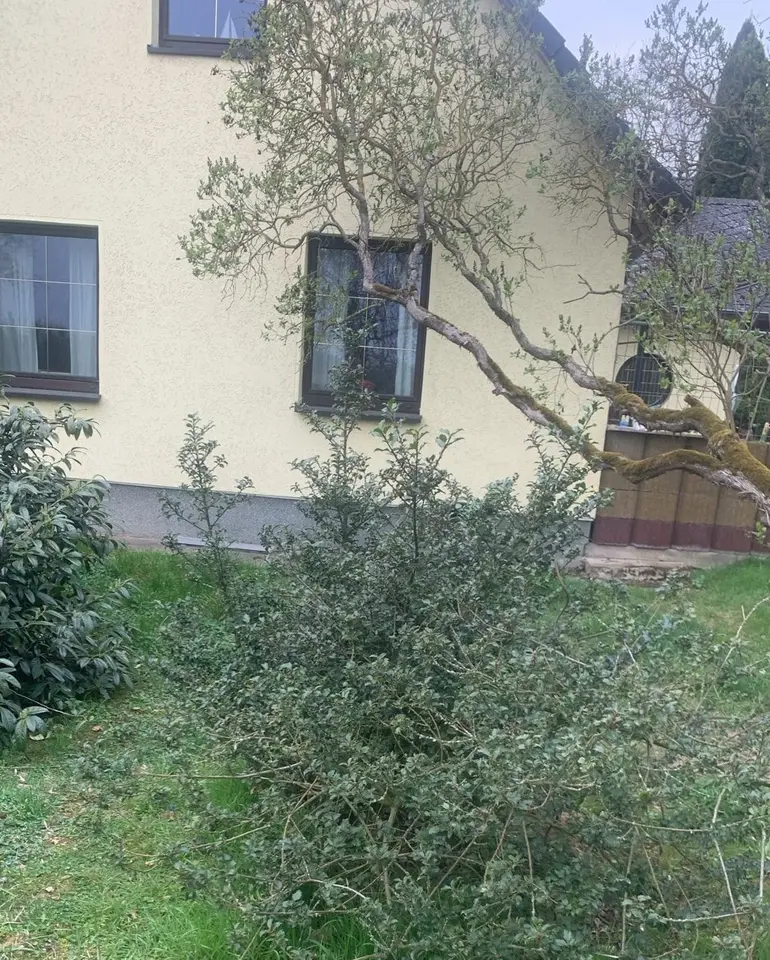 5 Zimmer Haus mit 120 m² in Frankfurt (Oder) – Bild 5