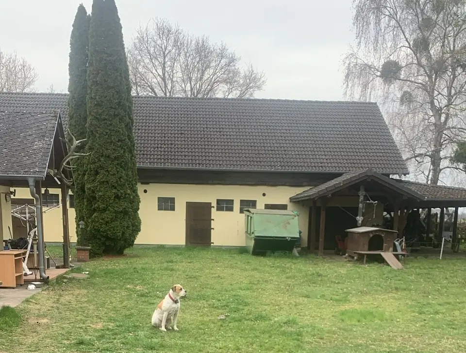 5 Zimmer Haus mit 120 m² in Frankfurt (Oder) – Bild 6