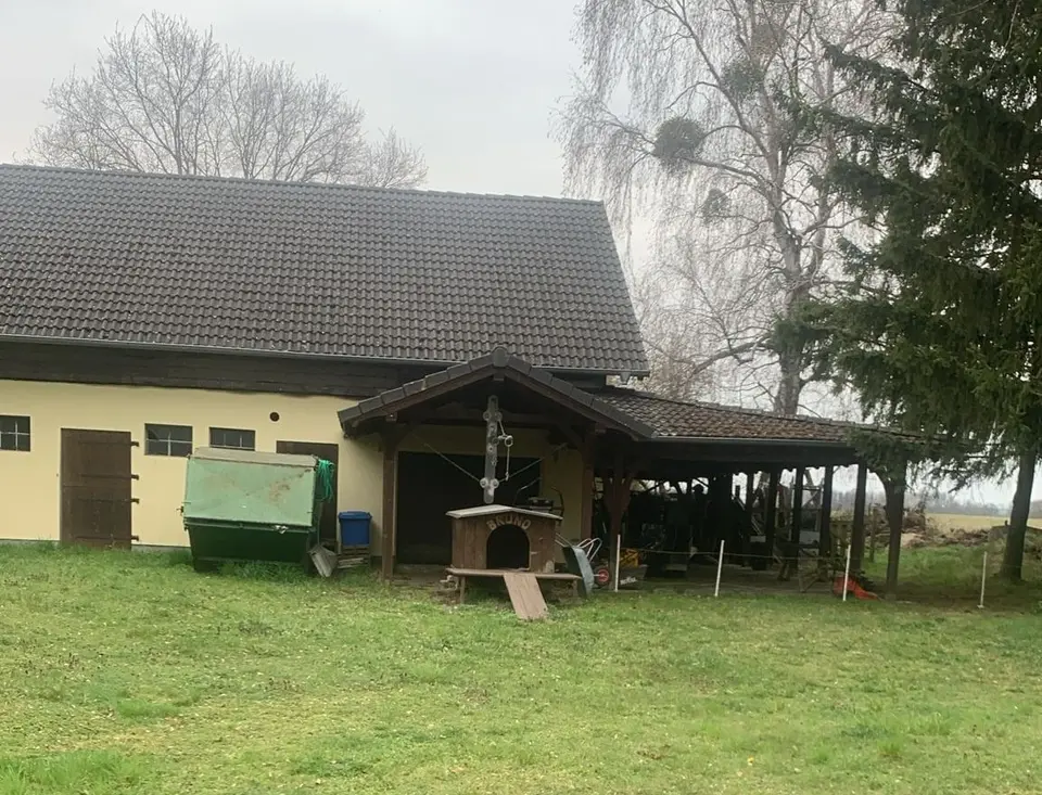 5 Zimmer Haus mit 120 m² in Frankfurt (Oder) – Bild 7