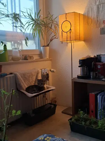 2 Zimmer Wohnung mit 55 m² in Oldenburg – Bild 1