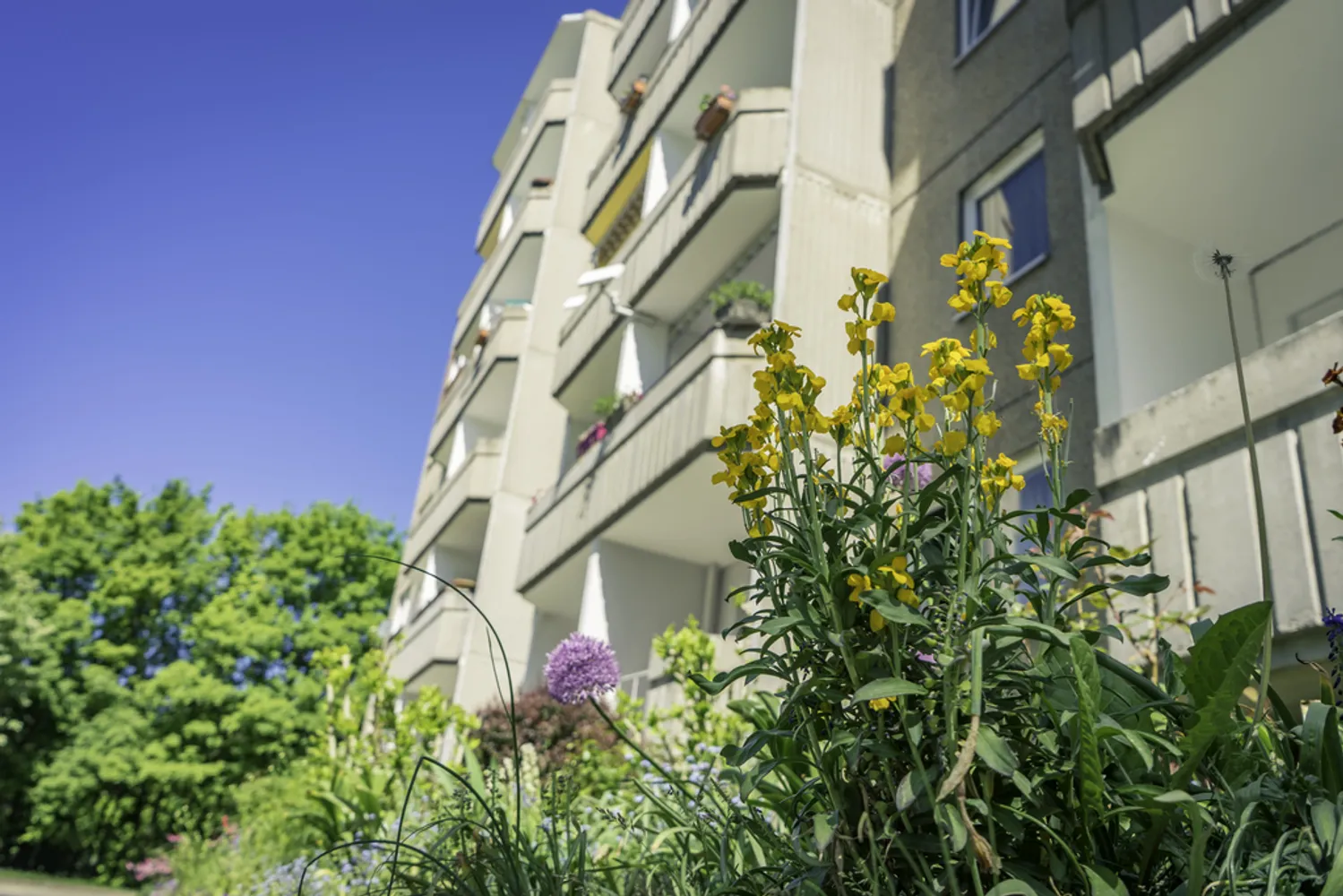 3 Zimmer Wohnung mit 55 m² in Chemnitz – Bild 1